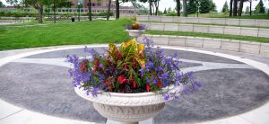 flowers in urn pose irrigation design challenges